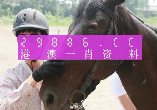 澳门一肖一码一一中厂，实用释义、解释与落实