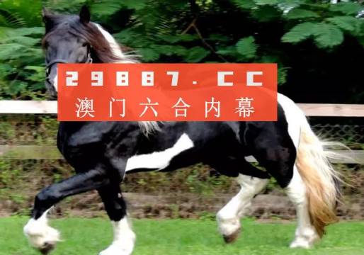 澳门与香港一肖一码一一特一中?词语释义解释落实